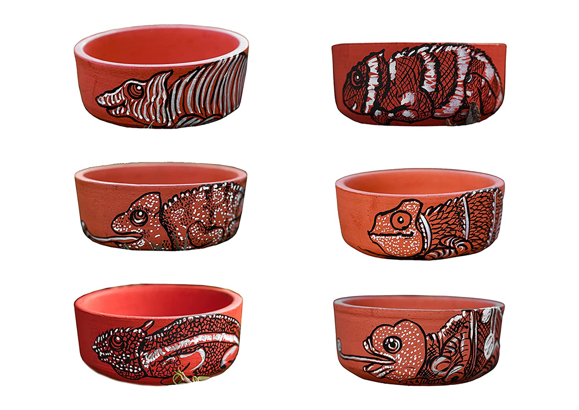 Terracotta Bowls for Kitchenware, Tableware, Home Decor - Crawling Beauty (Set of 6)